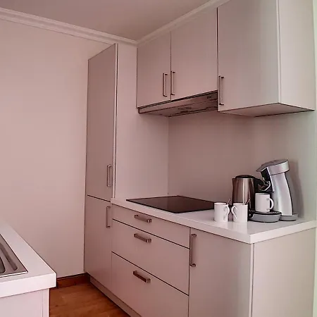 Renove Avec Balcon, Proche Des Pistes, Sauna, Hammam Et Wifi - Les Belleville - Fr-1-344-755